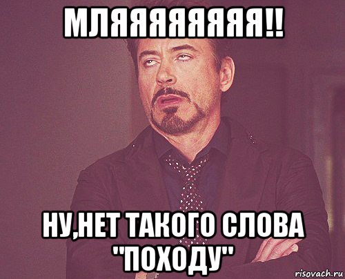 мляяяяяяяя!! ну,нет такого слова "походу", Мем твое выражение лица