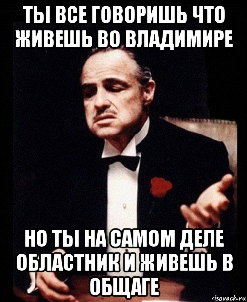 ты все говоришь что живешь во владимире но ты на самом деле областник и живешь в общаге, Мем ты делаешь это без уважения