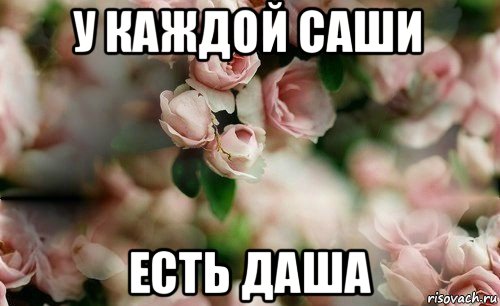у каждой саши есть даша