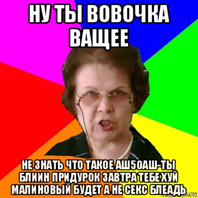 ну ты вовочка ващее не знать что такое аш5оаш-ты блиин придурок завтра тебе хуй малиновый будет а не секс блеадь, Мем Типичная училка