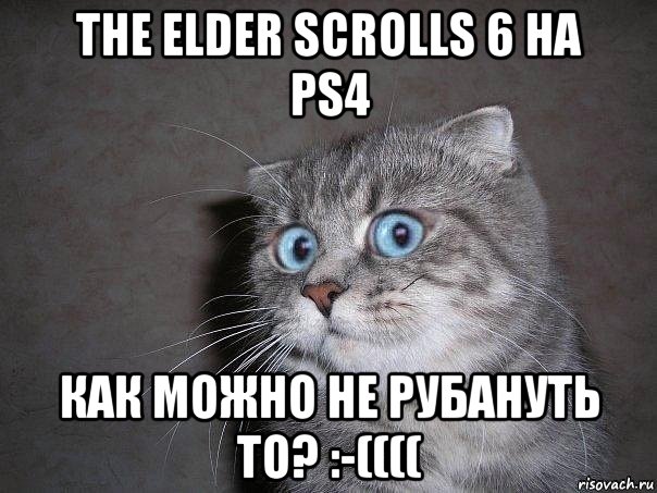 the elder scrolls 6 на ps4 как можно не рубануть то? :-((((, Мем  удивлённый кот