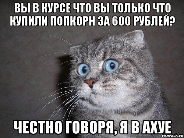 вы в курсе что вы только что купили попкорн за 600 рублей? честно говоря, я в ахуе, Мем  удивлённый кот