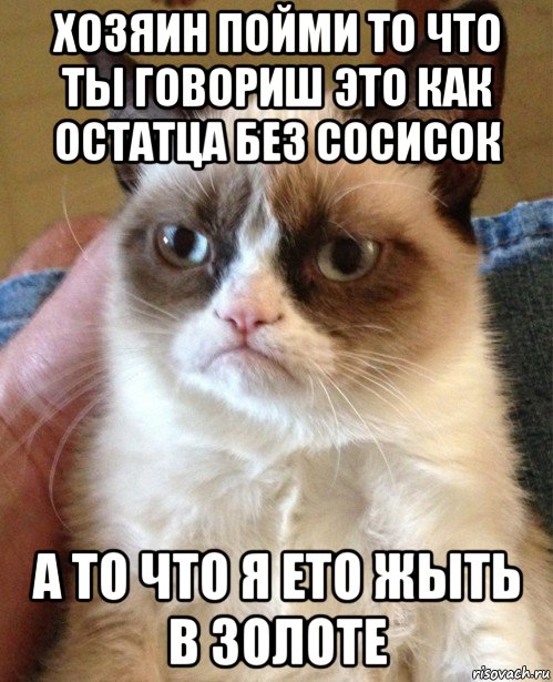 хозяин пойми то что ты говориш это как остатца без сосисок а то что я ето жыть в золоте, Мем Угрюмый кот