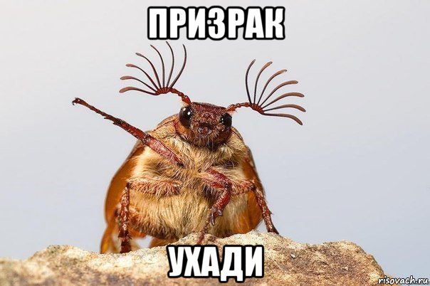 призрак ухади, Мем Уходи