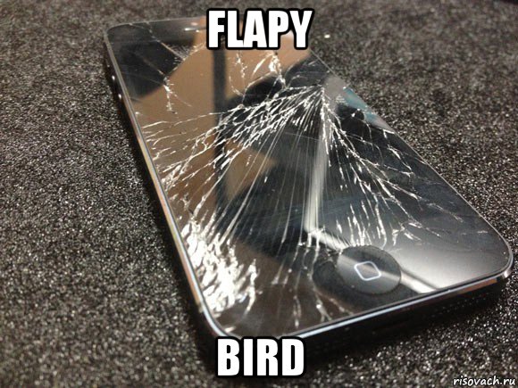 flapy bird, Мем узбагойся