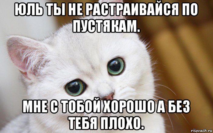 юль ты не растраивайся по пустякам. мне с тобой хорошо а без тебя плохо., Мем  В мире грустит один котик