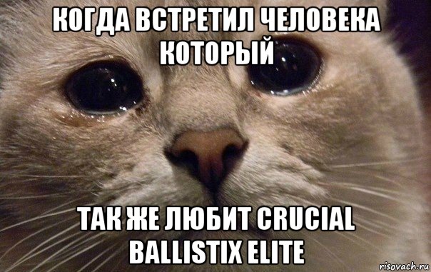 когда встретил человека который так же любит crucial ballistix elite, Мем   В мире грустит один котик