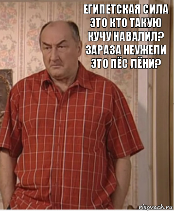 Египетская сила это кто такую кучу навалил? зараза неужели это пёс Лёни?