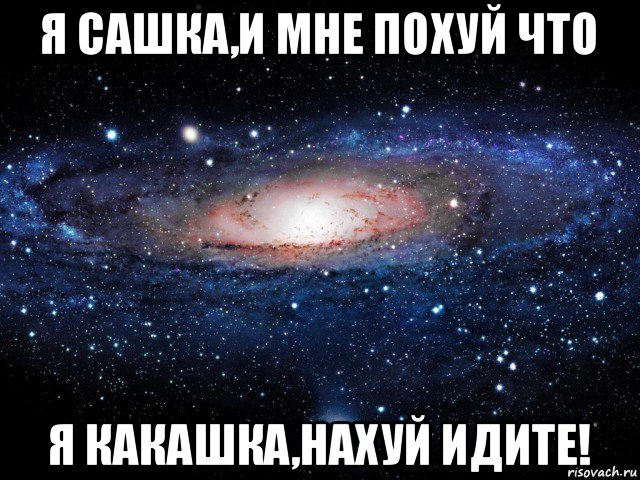 я сашка,и мне похуй что я какашка,нахуй идите!, Мем Вселенная