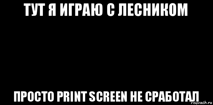 тут я играю с лесником просто print screen не сработал, Мем вспышка не сработала