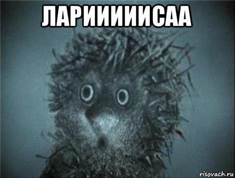 ларииииисаа 