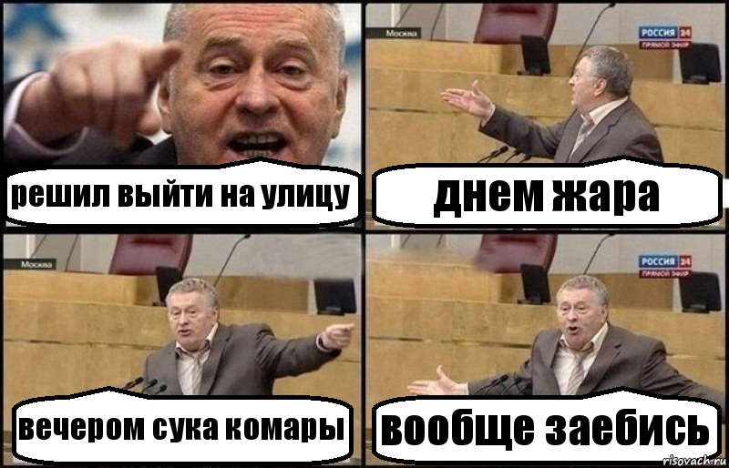 решил выйти на улицу днем жара вечером сука комары вообще заебись, Комикс Жириновский