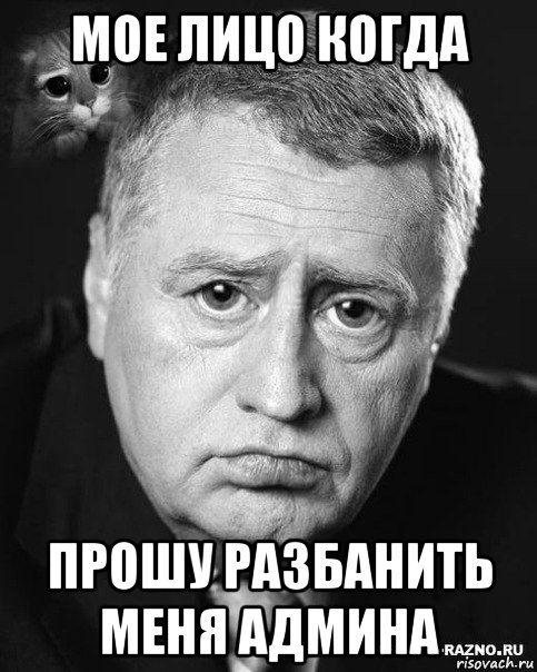 мое лицо когда прошу разбанить меня админа, Мем жириновский