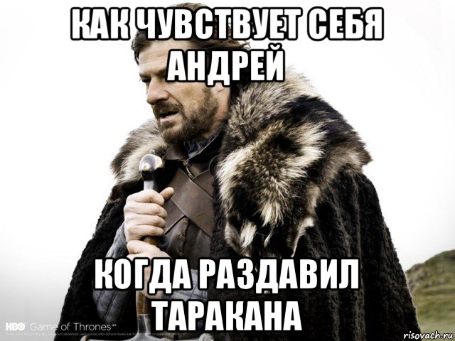 как чувствует себя андрей когда раздавил таракана, Мем Зима близко крепитесь (Нед Старк)