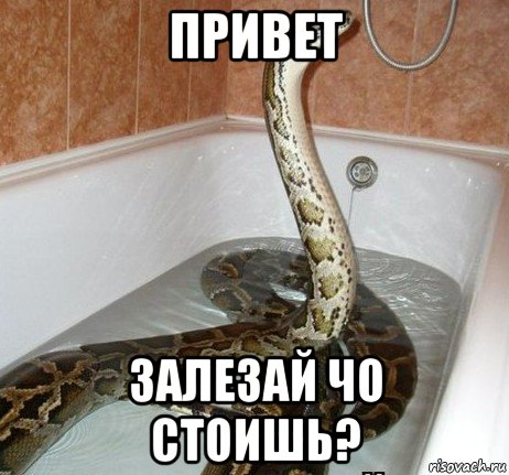 привет залезай чо стоишь?