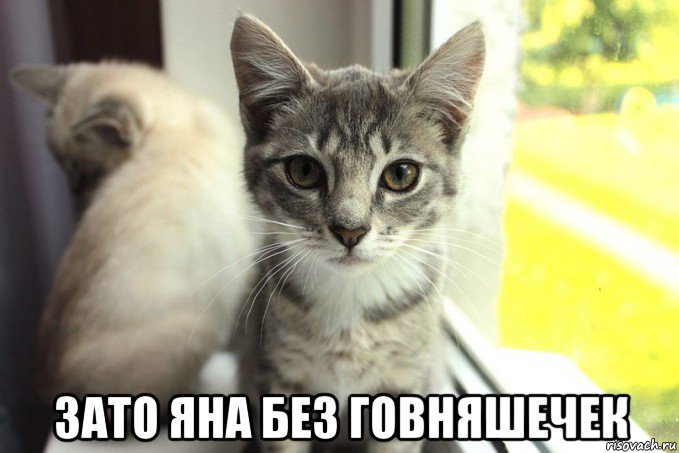 зато яна без говняшечек, Мем 1