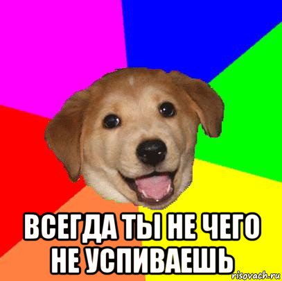  всегда ты не чего не успиваешь, Мем Advice Dog