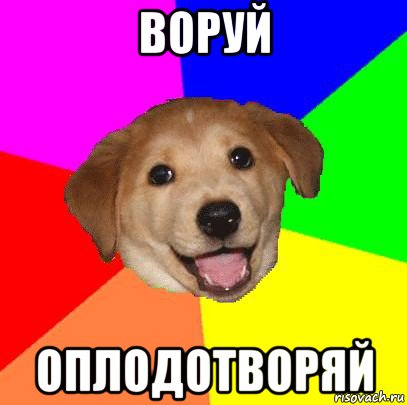 воруй оплодотворяй, Мем Advice Dog