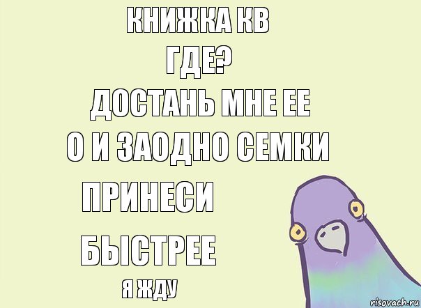 книжка кв где? достань мне ее о и заодно семки принеси быстрее я жду, Комикс Голубь