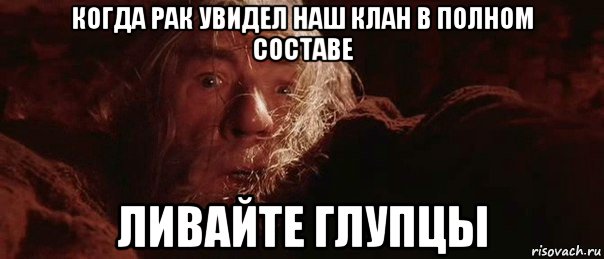 когда рак увидел наш клан в полном составе ливайте глупцы, Мем бегите глупцы