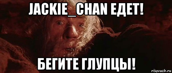 jackie_chan едет! бегите глупцы!, Мем бегите глупцы