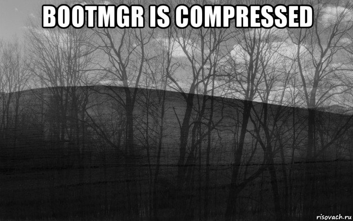 bootmgr is compressed , Мем безысходность лес