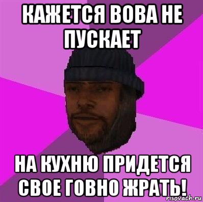 кажется вова не пускает на кухню придется свое говно жрать!, Мем Бомж самп рп