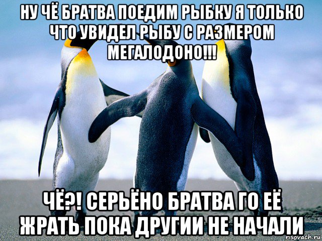 ну чё братва поедим рыбку я только что увидел рыбу с размером мегалодоно!!! чё?! серьёно братва го её жрать пока другии не начали