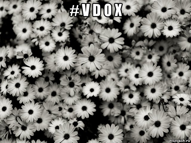 # v d o x 