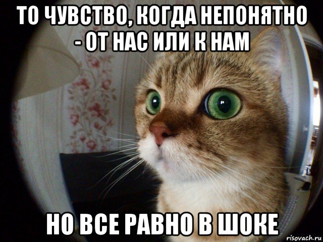 то чувство, когда непонятно - от нас или к нам но все равно в шоке, Мем Честно сказать я удивлен