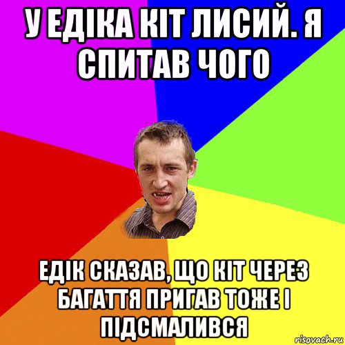 у едіка кіт лисий. я спитав чого едік сказав, що кіт через багаття пригав тоже і підсмалився, Мем Чоткий паца