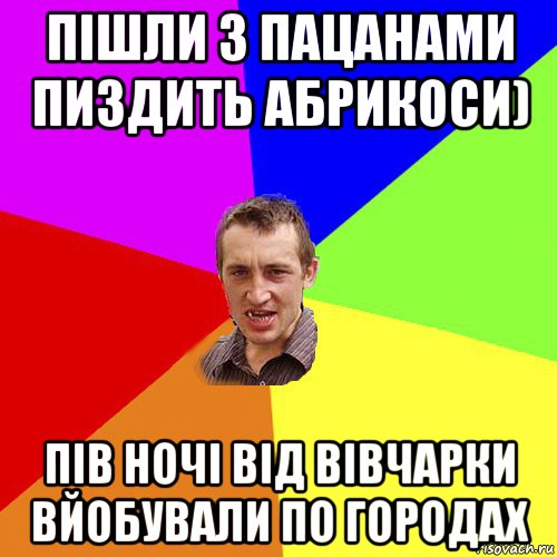 пішли з пацанами пиздить абрикоси) пів ночі від вівчарки вйобували по городах, Мем Чоткий паца