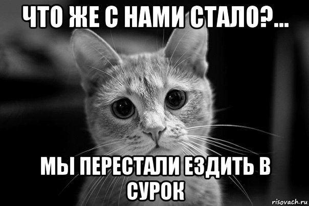 что же с нами стало?... мы перестали ездить в сурок