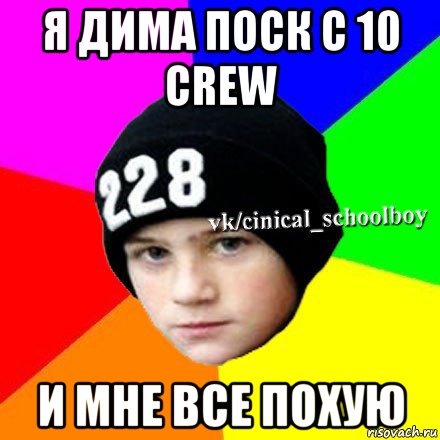 я дима поск с 10 crew и мне все похую, Мем  Циничный школьник 1