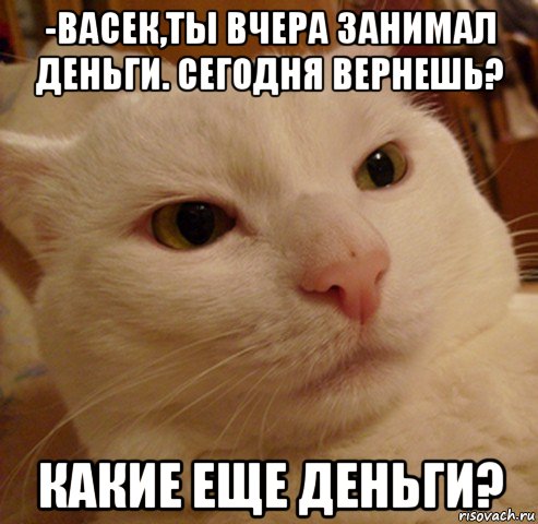 -васек,ты вчера занимал деньги. сегодня вернешь? какие еще деньги?, Мем Дерзкий котэ