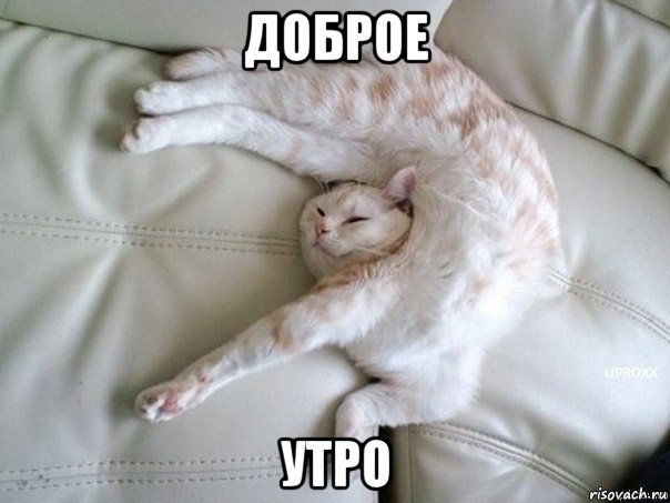 доброе утро
