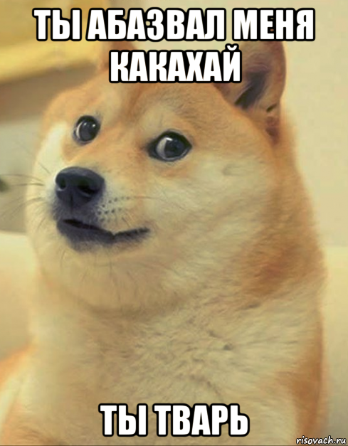 ты абазвал меня какахай ты тварь, Мем doge woof