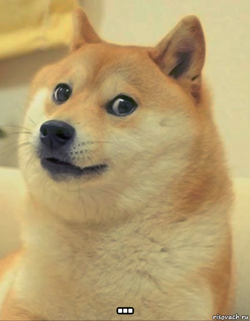  ..., Мем doge woof