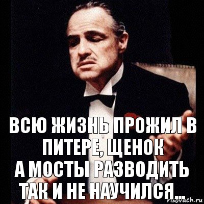 ВСЮ ЖИЗНЬ ПРОЖИЛ В ПИТЕРЕ, ЩЕНОК
А МОСТЫ РАЗВОДИТЬ ТАК И НЕ НАУЧИЛСЯ..., Комикс Дон Вито Корлеоне 1