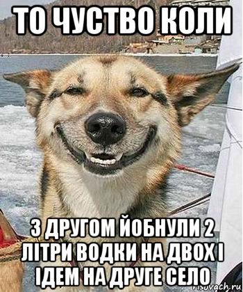 то чуство коли з другом йобнули 2 літри водки на двох і ідем на друге село, Мем Довольный пес