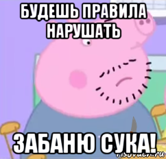 будешь правила нарушать забаню сука!, Мем  Дядя пеппы