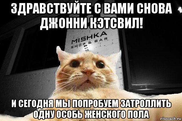 здравствуйте с вами снова джонни кэтсвил! и сегодня мы попробуем затроллить одну особь женского пола, Мем   Джонни Кэтсвилл