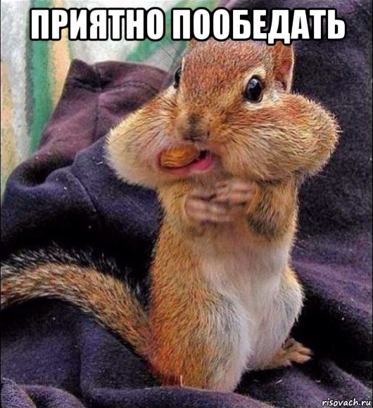 приятно пообедать 