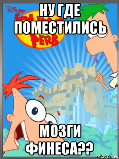 ну где поместились мозги финеса??