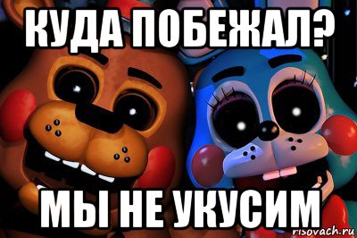куда побежал? мы не укусим