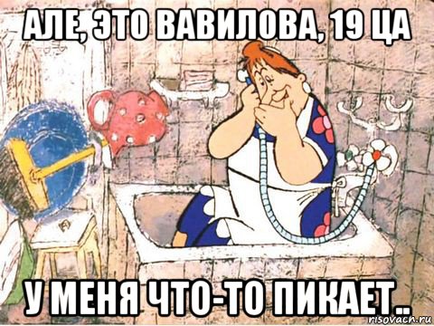 але, это вавилова, 19 ца у меня что-то пикает..