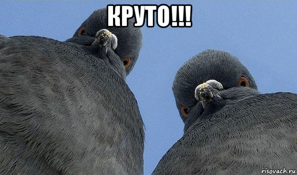 круто!!! 