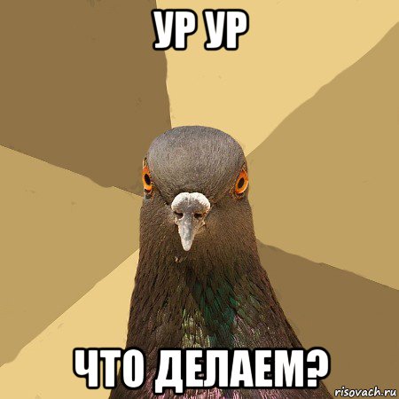 ур ур что делаем?