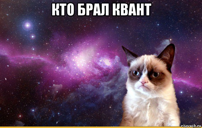 кто брал квант , Мем grumpy cat космос