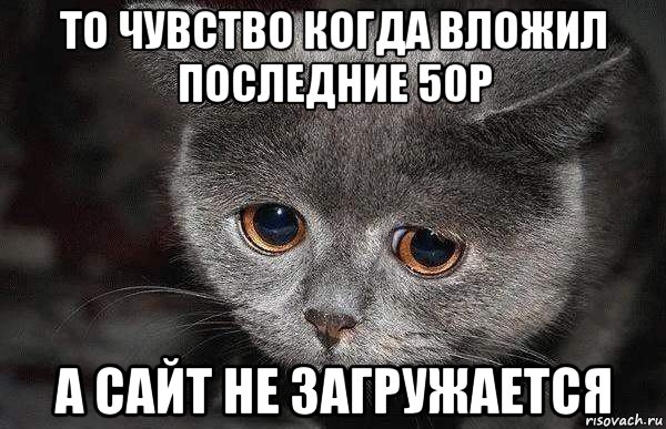 то чувство когда вложил последние 50р а сайт не загружается, Мем  Грустный кот